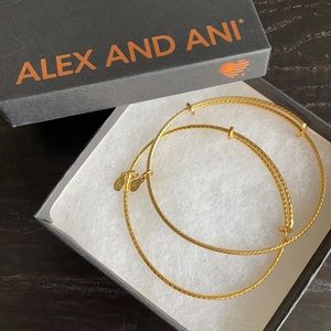 Alex and Ani • Plain Bracelet
